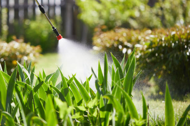 24/7 Emergency Fumigation Services experts in Cocoa West, FL