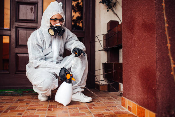 Reliable Fumigation Services contractor in Cocoa West, FL by Nex Pest Control